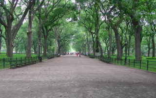 Central Park: 10 lieux à voir absolument